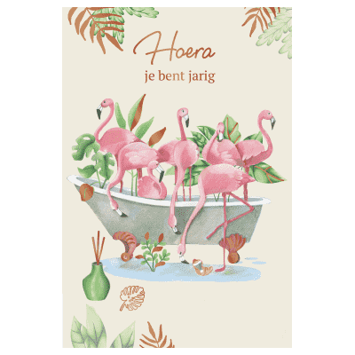 Wk 14 Verjaardag Flamingo Romance